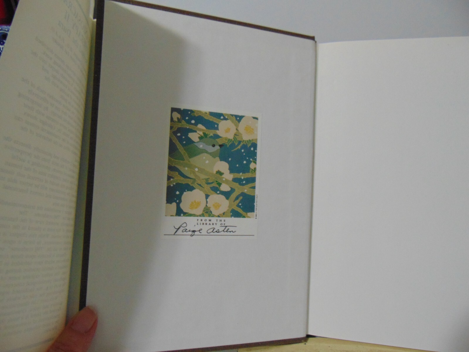 Craniosacral Therapy II: Beyond the Dura by John E Upledger Hardcover 1987