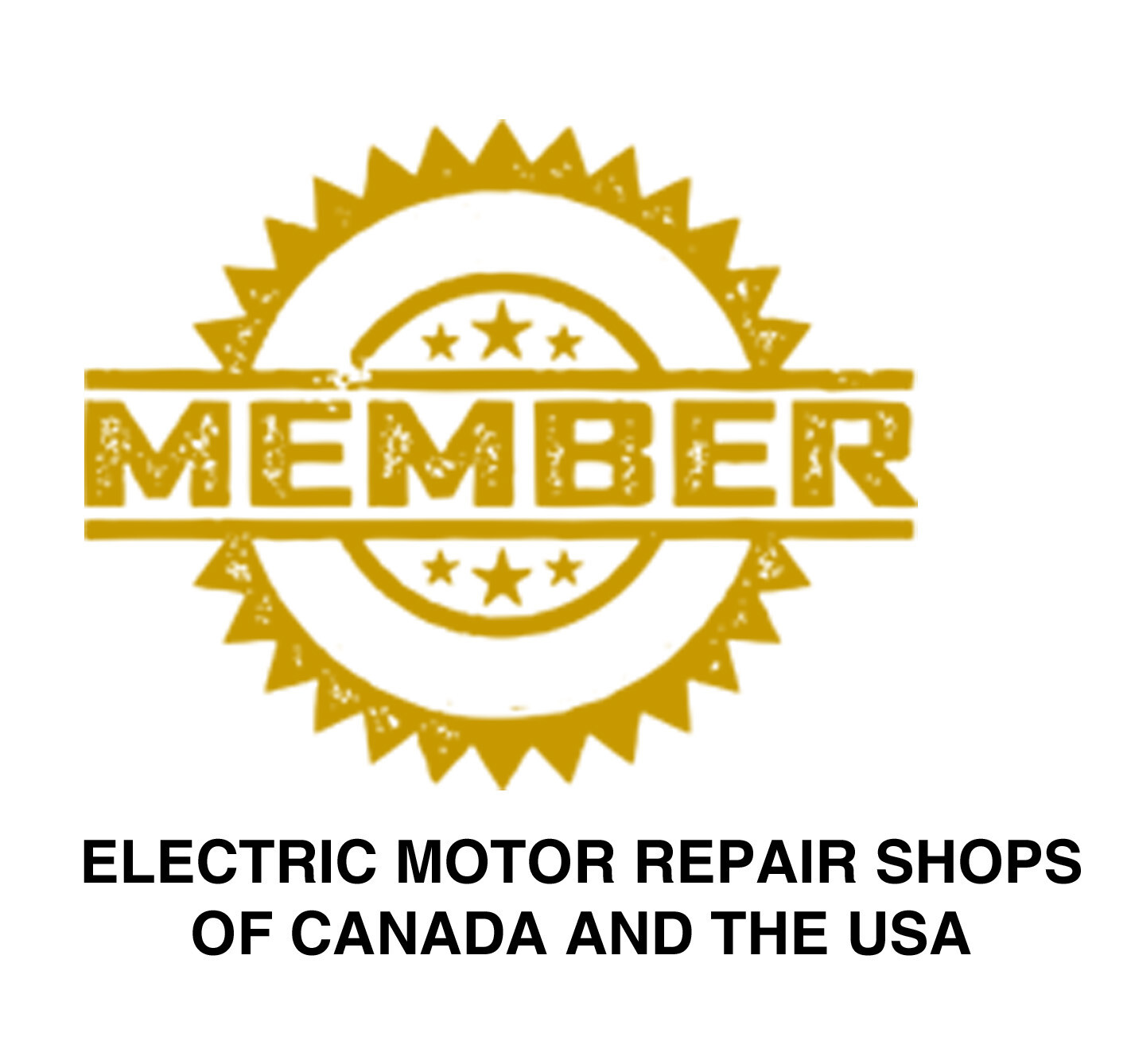 ⭐⭐⭐⭐⭐ A MUST- FOR ANY MOTOR SHOP-CLEAR, DETAILED & TECHNICIAN FOCUSED & 7 DVDS!