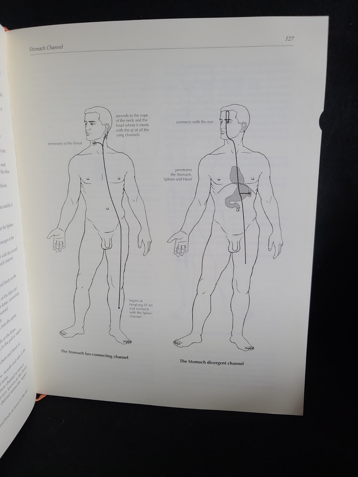 A Manual of Acupuncture HC 2006 Peter Deadman Chinese Medicine Textbook