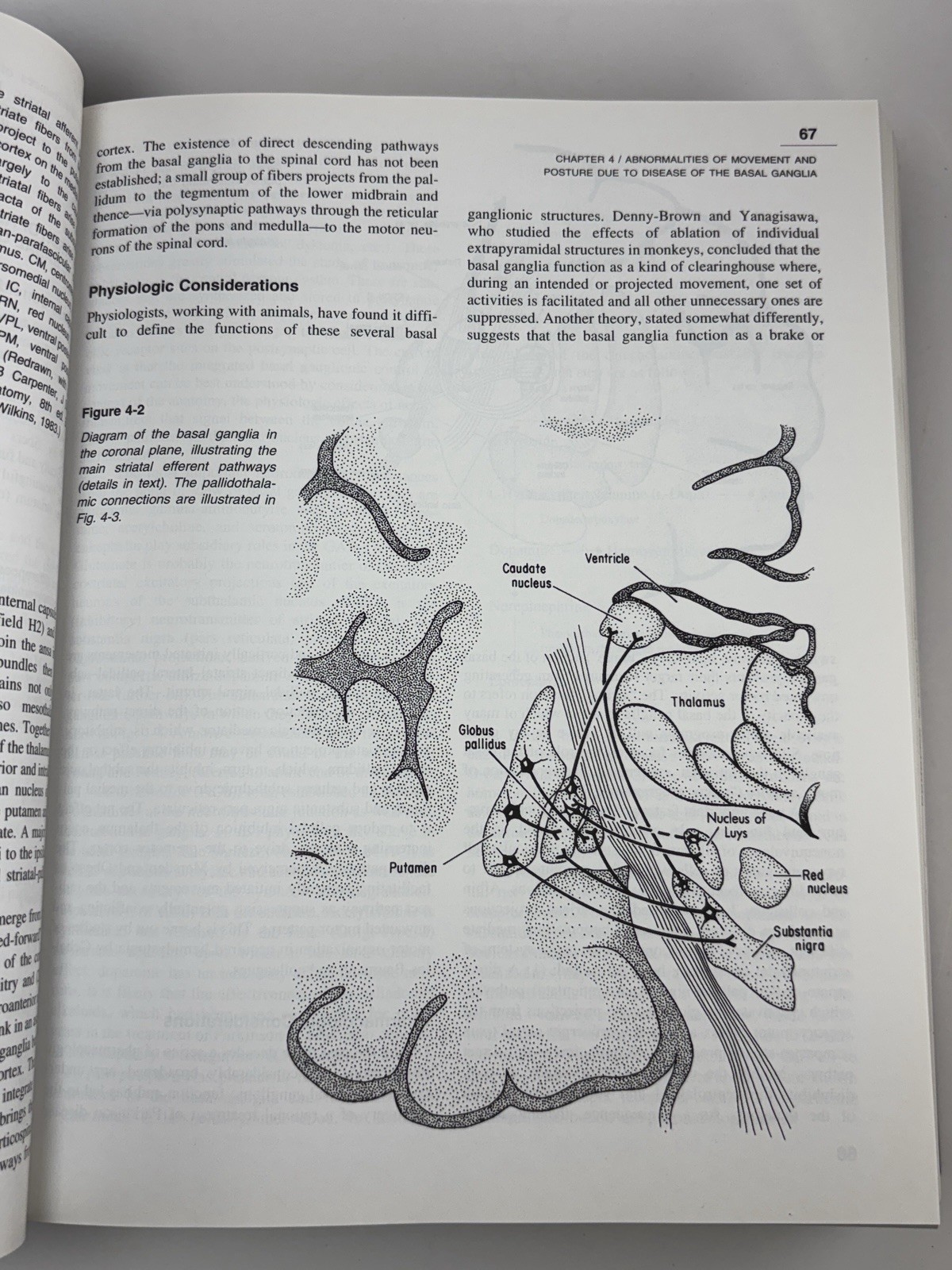 Principles of Neurology 6th Edition – Adams, Victor, Ropper – Hardcover 1997