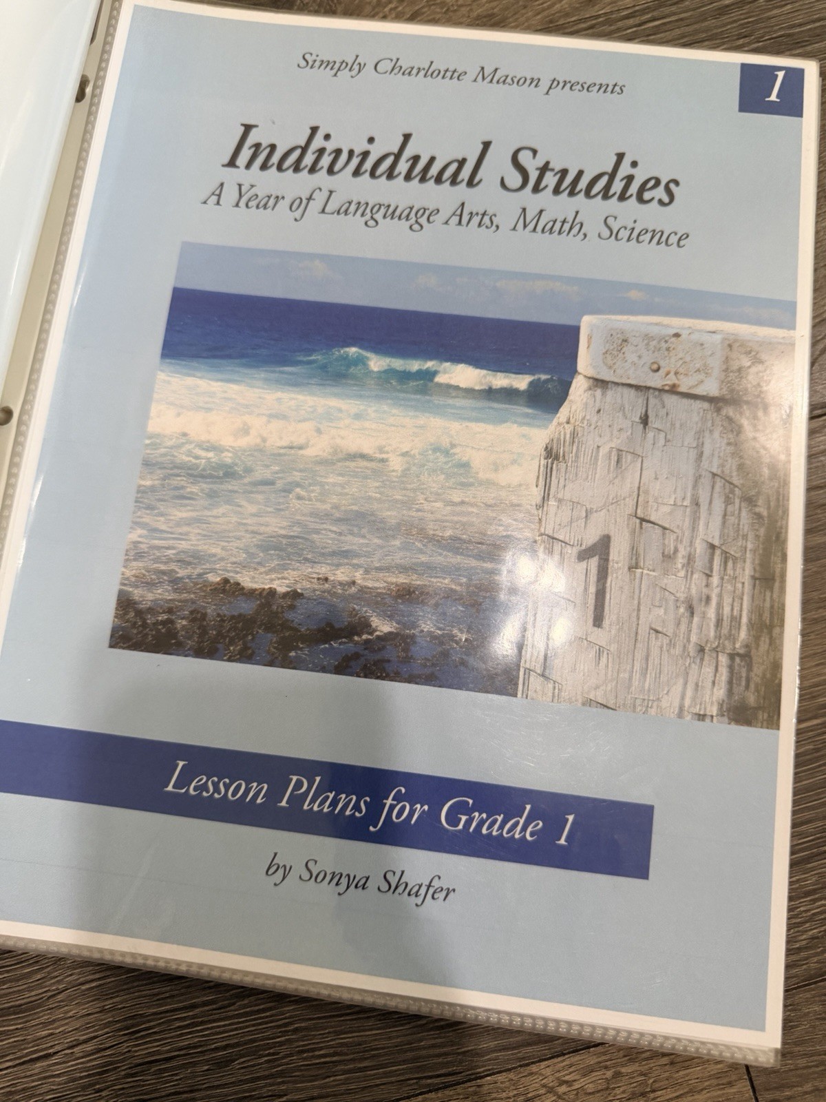Early Years and Individual Studies lesson Plans for Grade 1 in folder.
