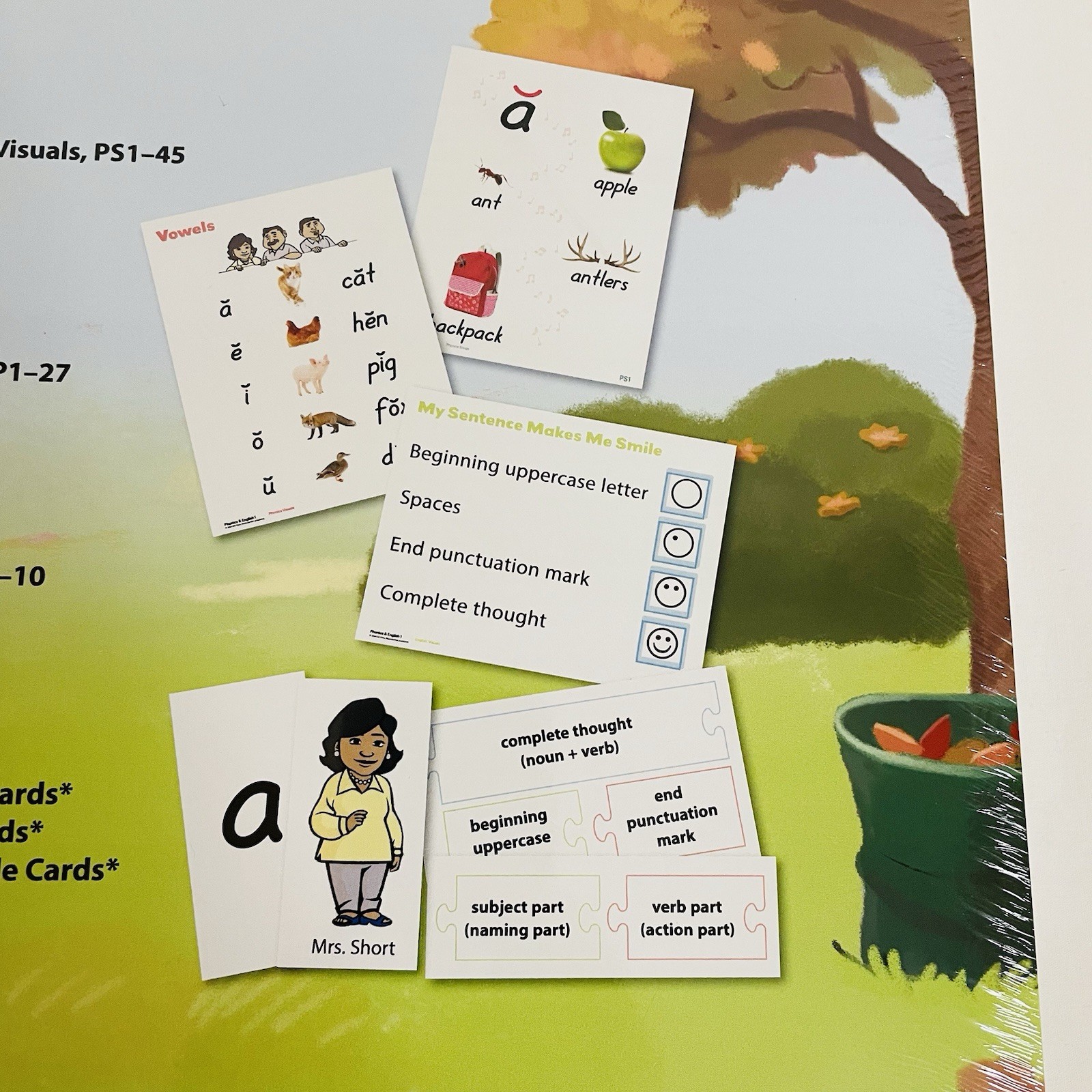 BJU Press Phonics & English 1 Visuals 5th Edition Teaching Aid Cards First Grade