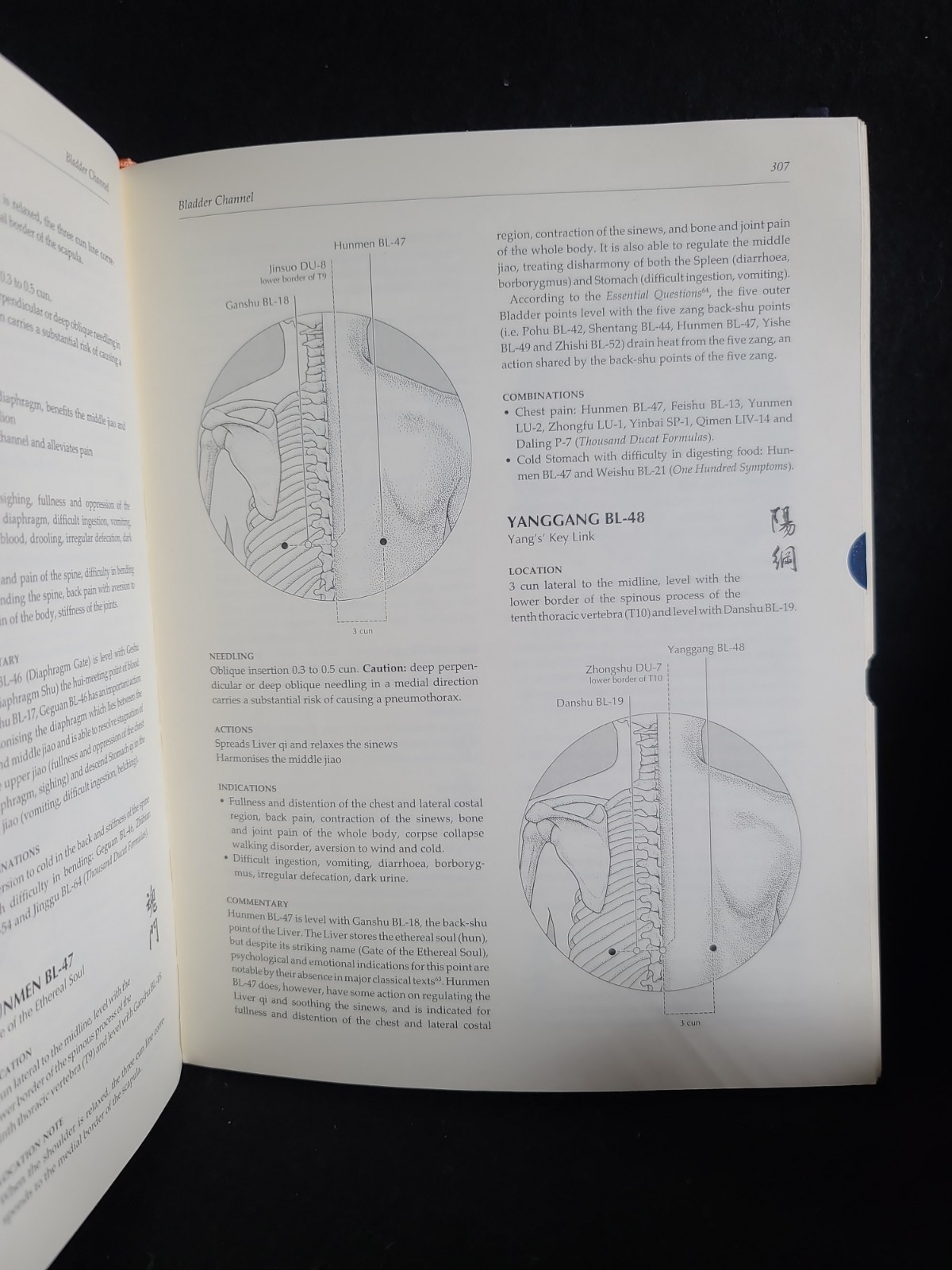 A Manual of Acupuncture HC 2006 Peter Deadman Chinese Medicine Textbook