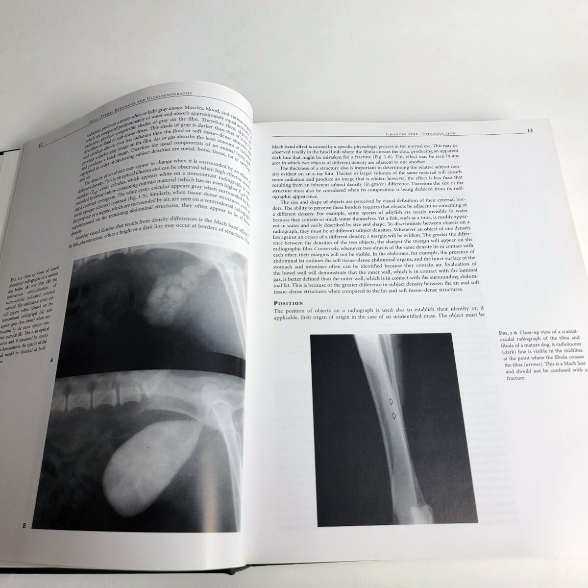 Small Animal Radiology and Ultrasound: A Diagnostic Atlas & Text 3rd Edition