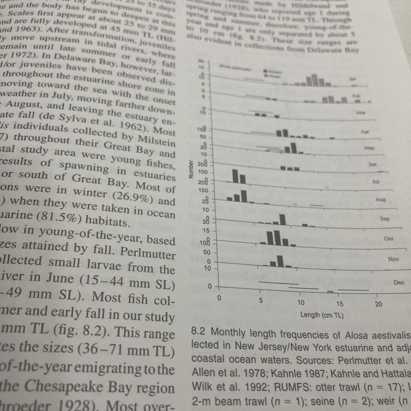 First Year in the Life of Estuarine Fishes in the Middle Atlantic Bight by Ke…