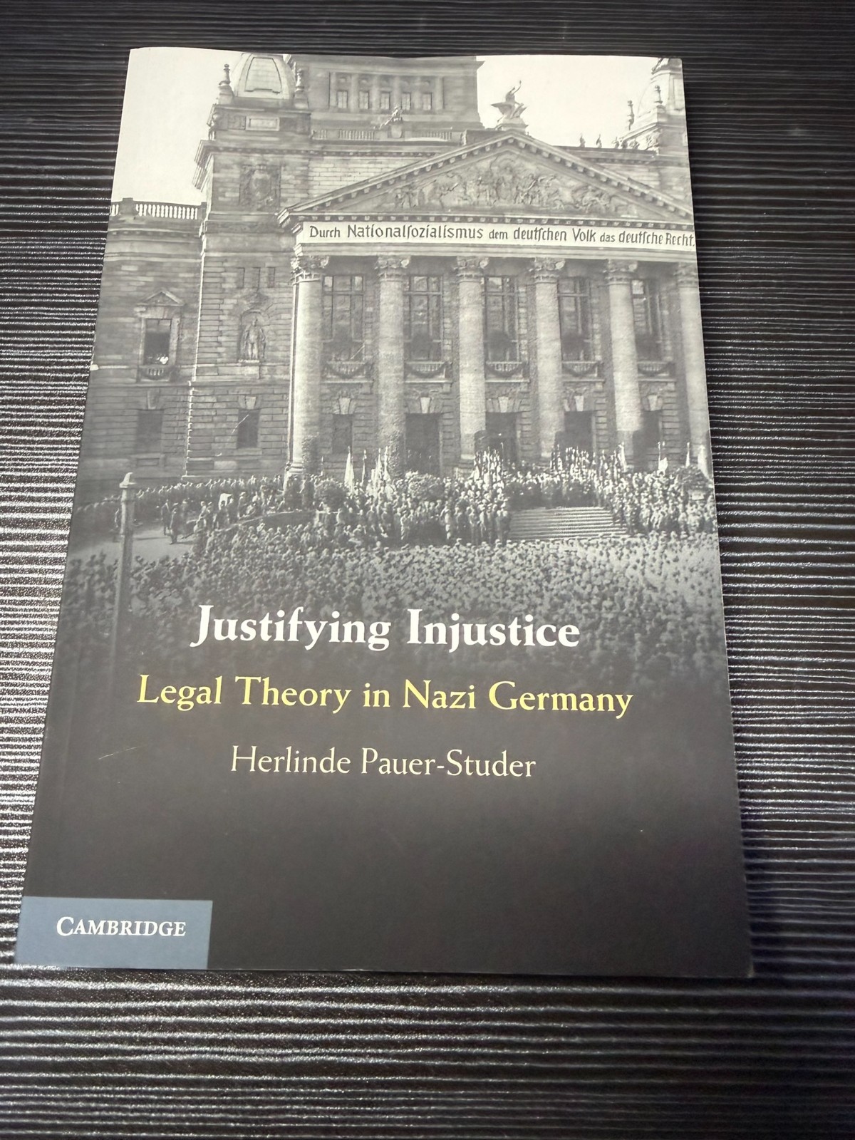 Justifying Injustice by Herlinde Pauer-Studer (2022, Trade Paperback)