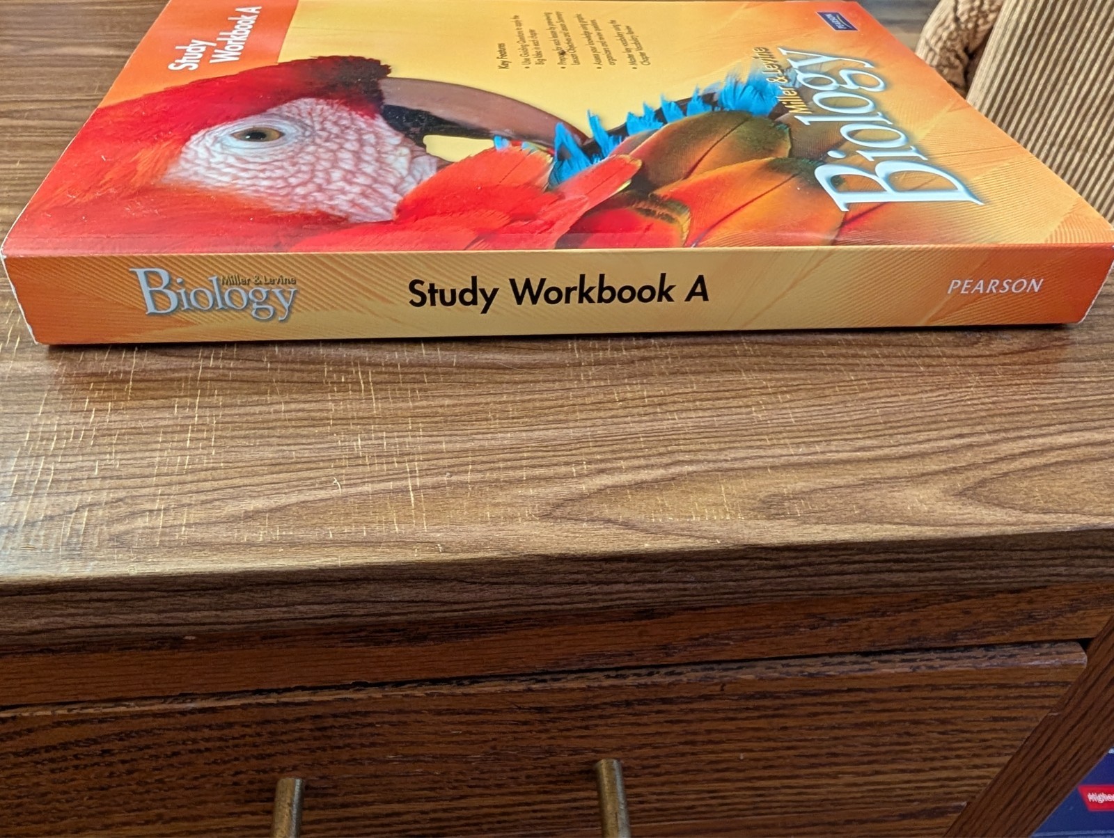 MILLER LEVINE BIOLOGY 2010 STUDY WORKBOOK A GRADE 9/10 – Paperback