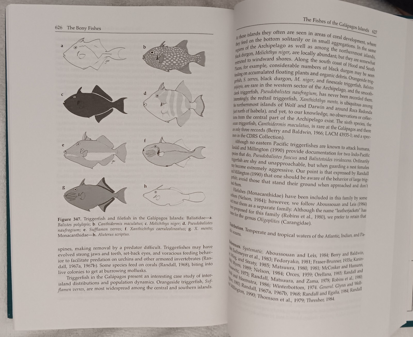 Fishes of the Galápagos Islands • Grove & Lavenberg • 1997 • Stanford HC/DJ