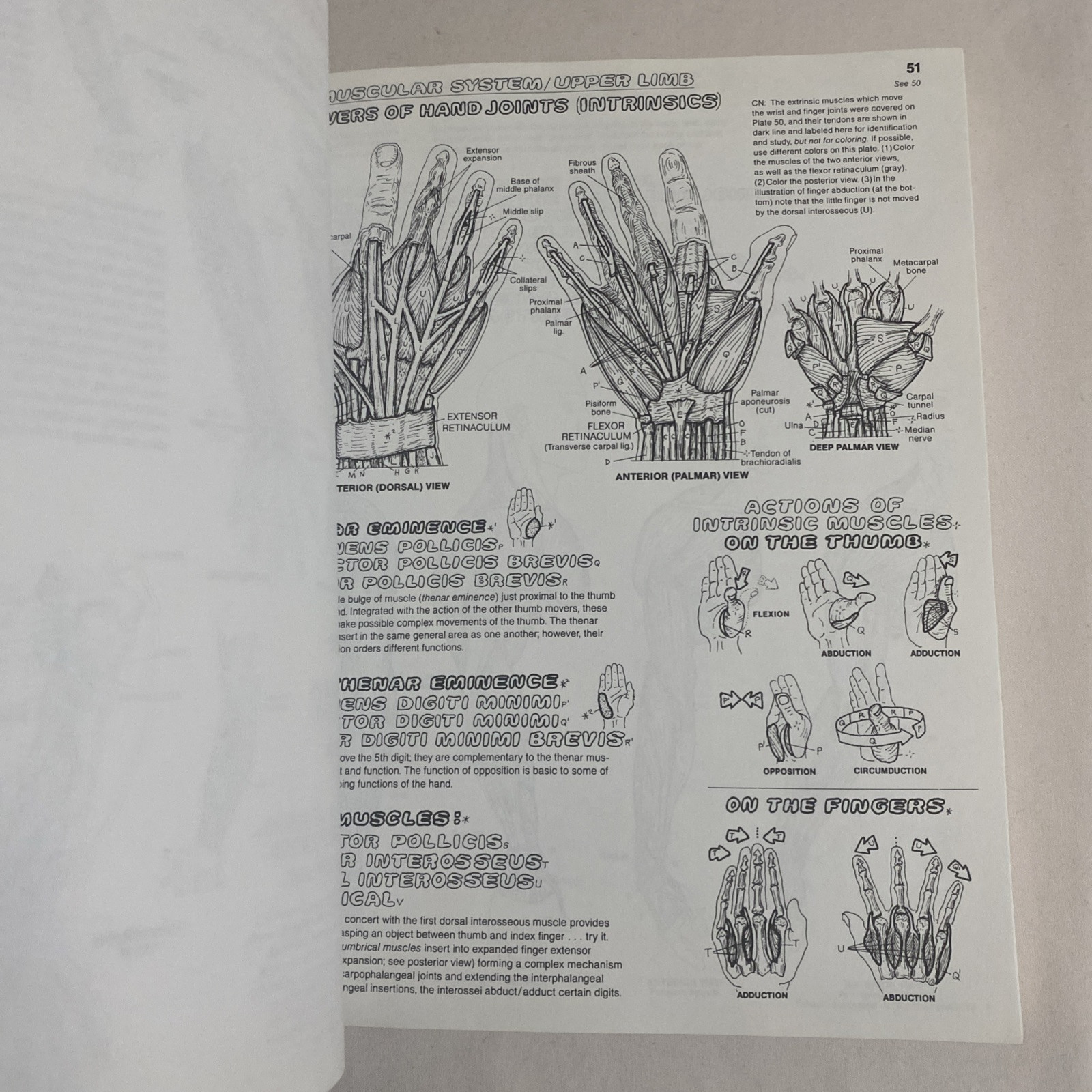 The Anatomy Coloring Book By Wynn Kapit & Lawrence M. Elson 2nd Edition