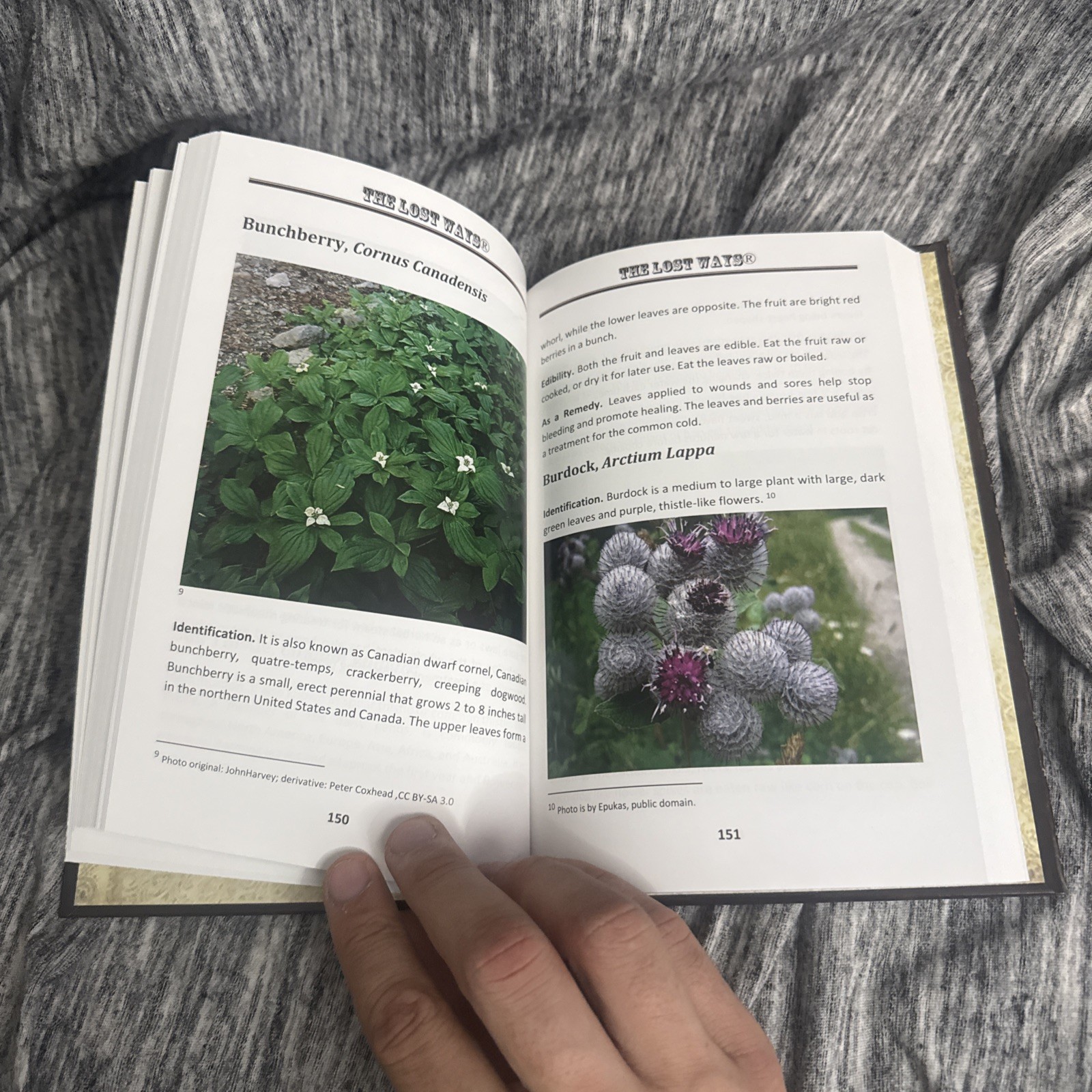 The Lost Ways Hardcover Fourth Edition Survival Preparedness Homesteading Book