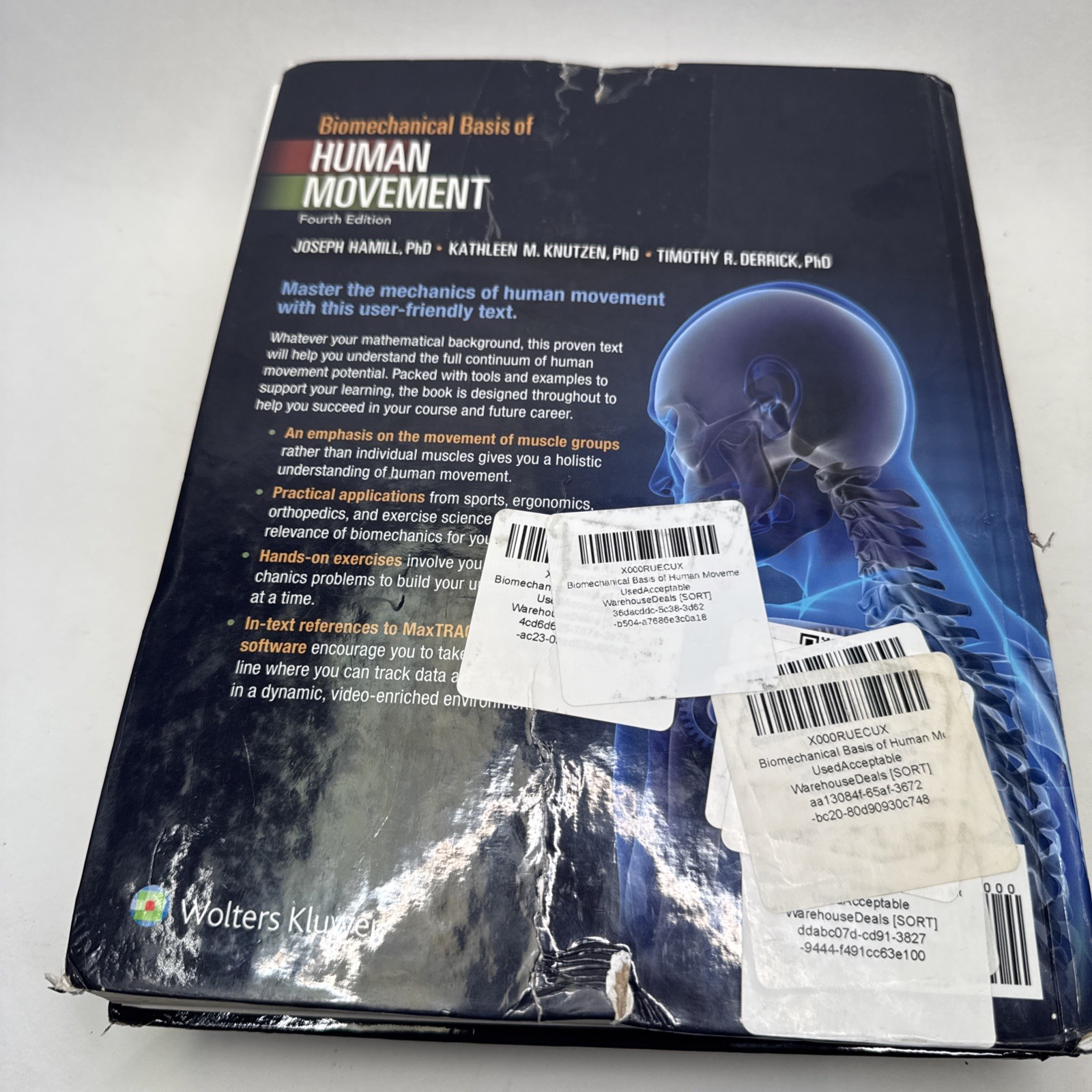 BIOMECHANICAL BASIS OF HUMAN MOVEMENT By Hamill Joseph Phd & Knutzen Kathleen