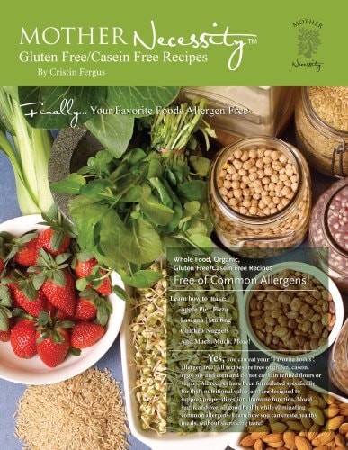 Mother Necessity Gluten Free/Casein Free Recipes by Cristin Fergus, Good Book