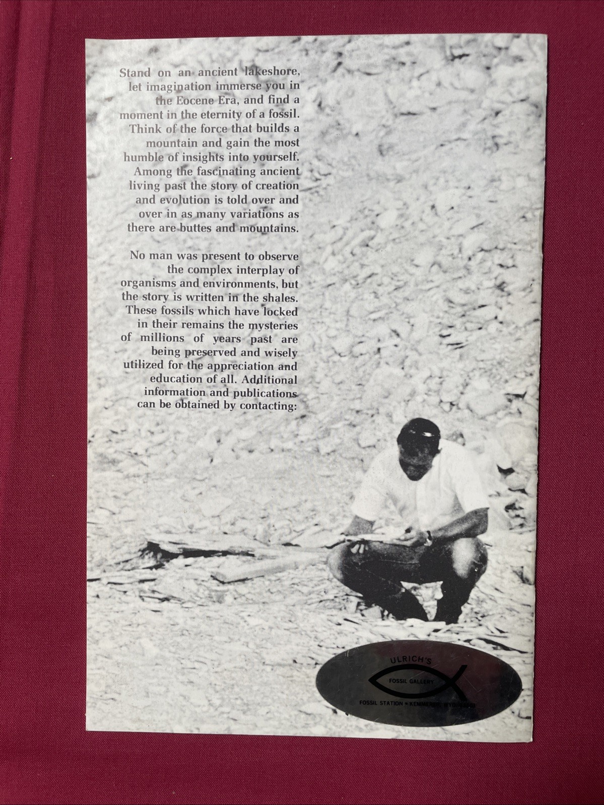 Stone Fish – Fossils from Ulrich Quarries – Wallace Ulrich 1977 Plus 6 Postcards