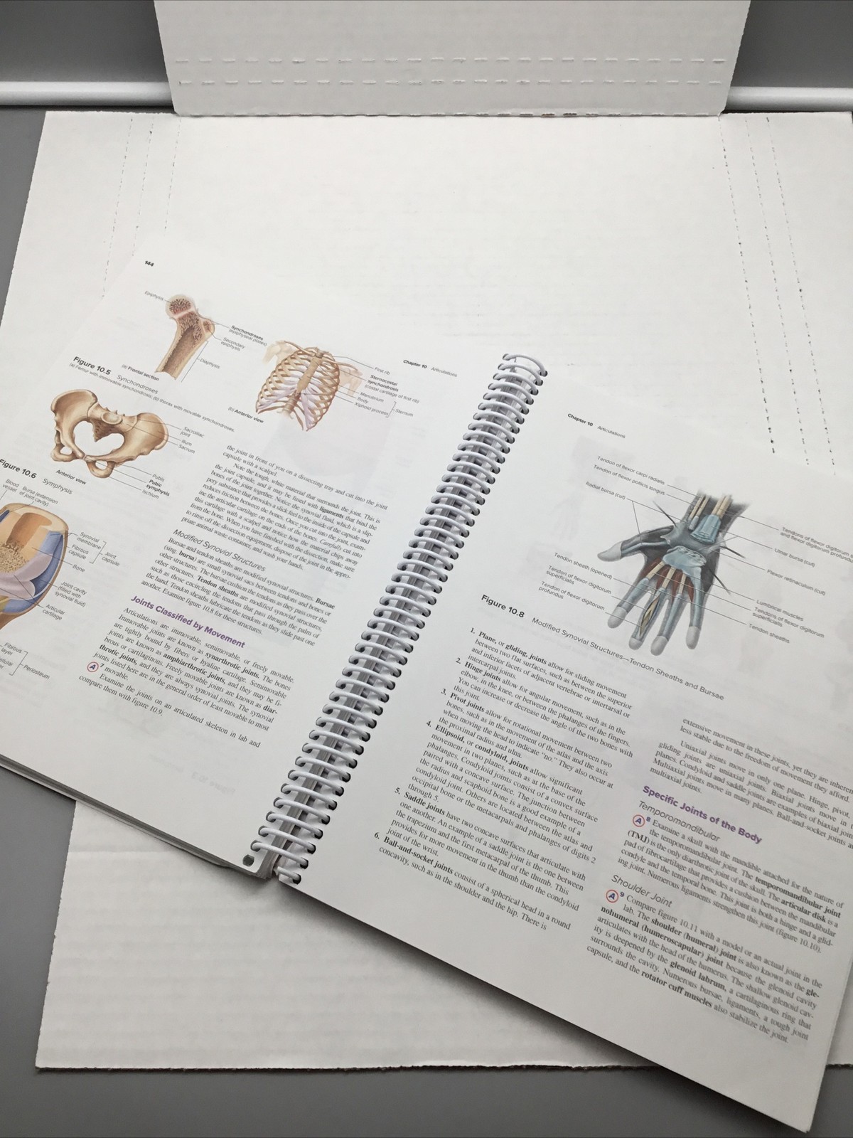 Laboratory Manual – Anatomy & Physiology 1 – Spiral Bound/Paperback – Acceptable