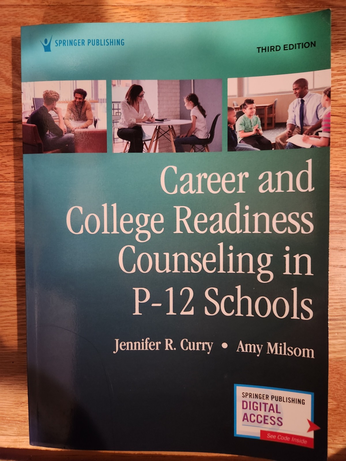 Career and College Readiness Counseling in P-12 Schools, Third Edition by Curry