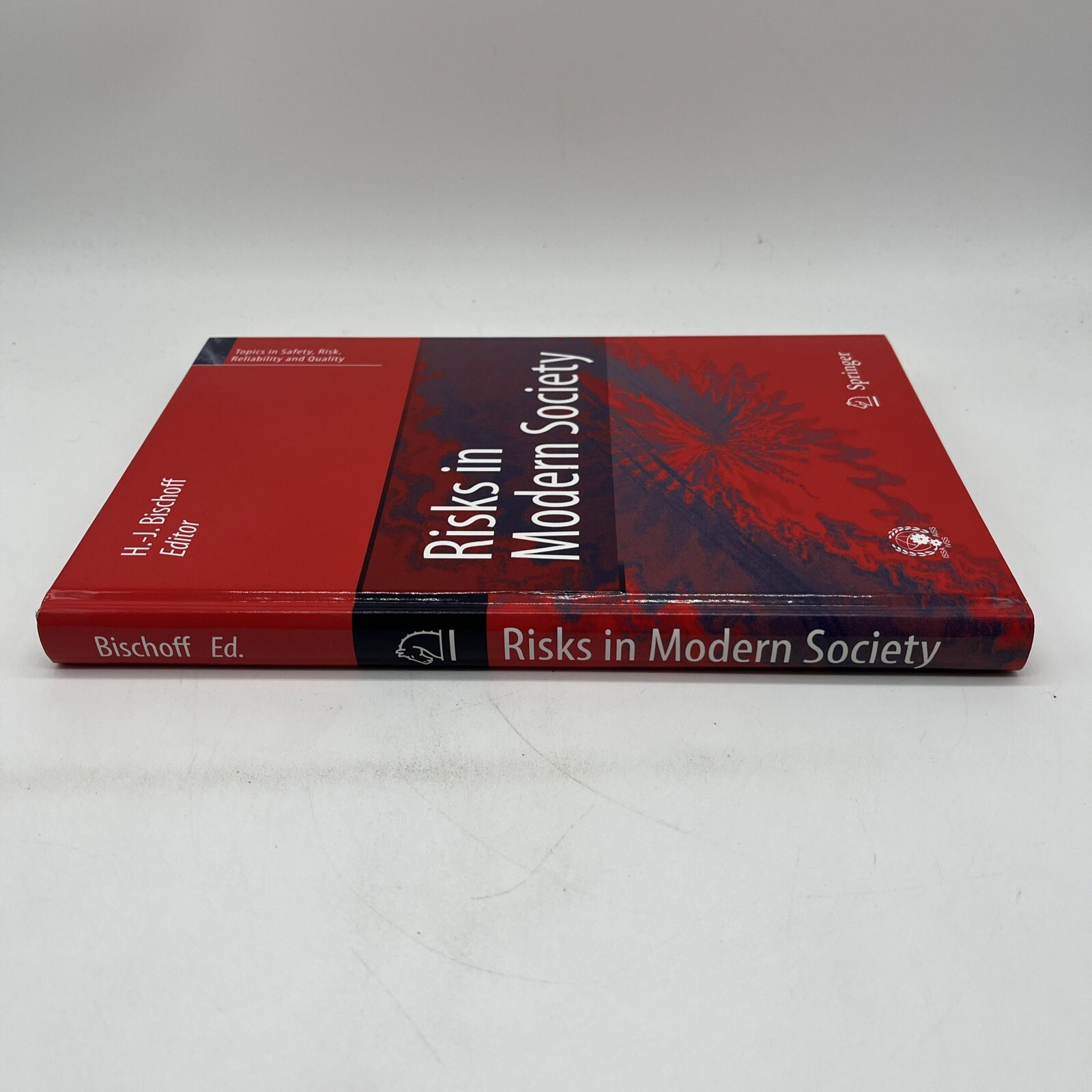 Risks in Modern Society HB by Bischoff Hans-jurgen Topics In Safety Risk Quality