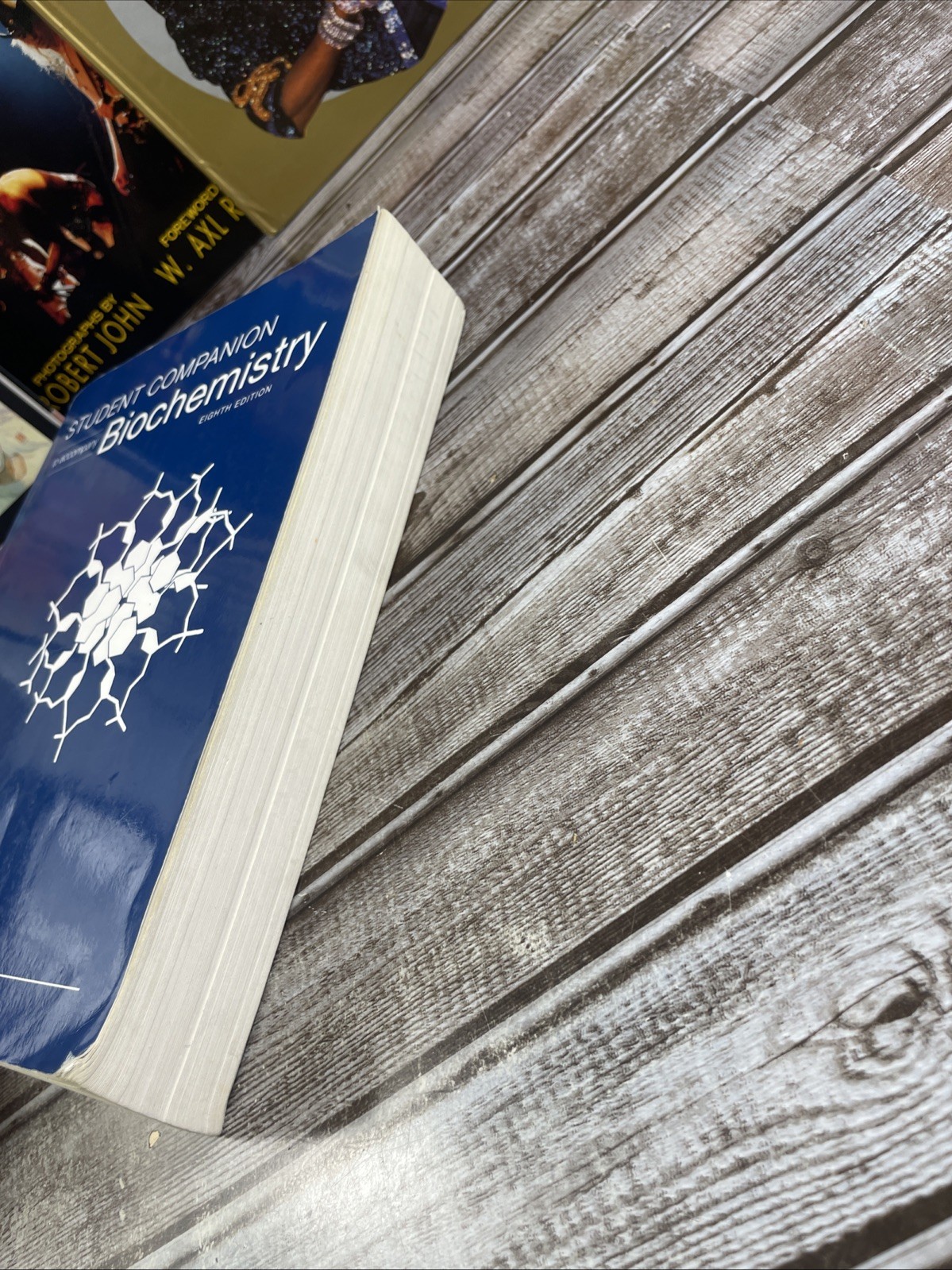 Student Companion for Biochemistry – Paperback By Berg, Jeremy M. – GOOD