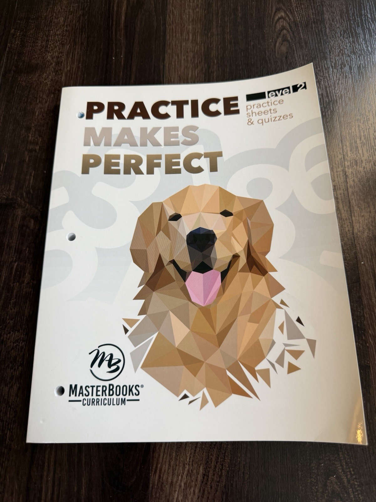 New Master Books PRACTICE MAKES PERFECT Level 2 Math Lessons Living Education